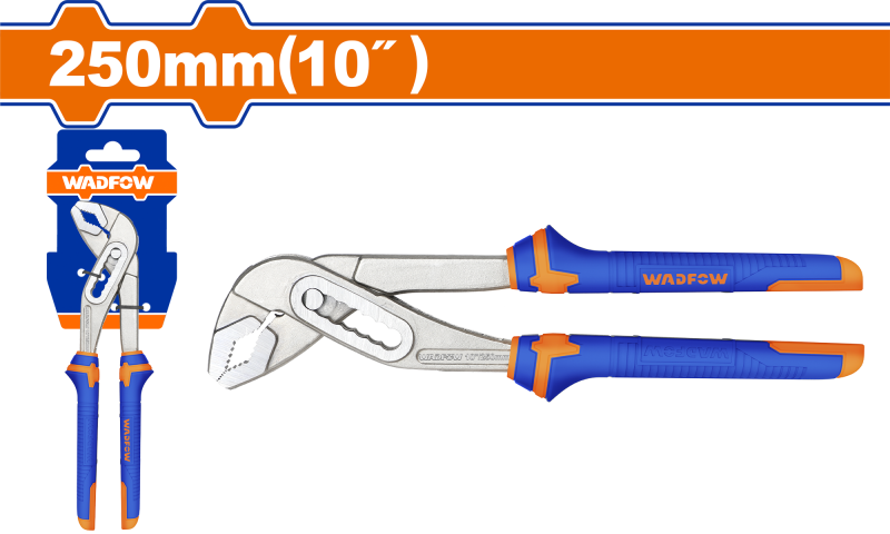 WADFOW - CLESTE PAPAGAL - 10"/250MM