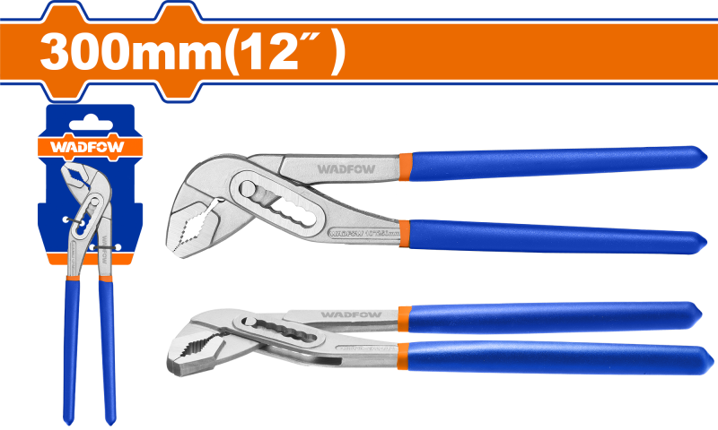 WADFOW - CLESTE PAPAGAL - 12"/300MM
